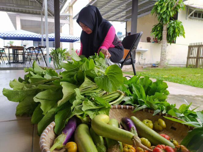 
					Bhayangkari Cabang PPU Maksimalkan Sepetak Lahan Untuk Sayur Mayur