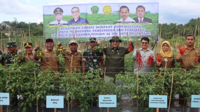 
					Wamentan: Potensi Pertanian Daerah Penyangga IKN Segera Diberdayakan