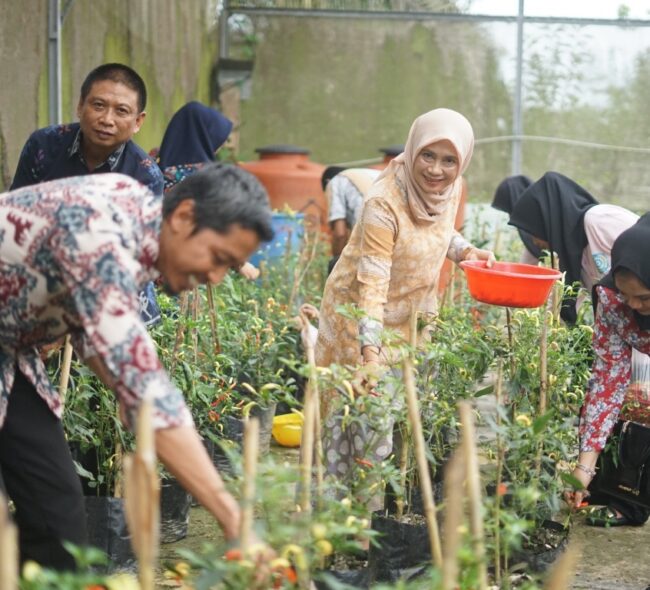 Ketua TP PKK PPU Ajak Masyarakat Manfaatkan Pekarangan Rumah