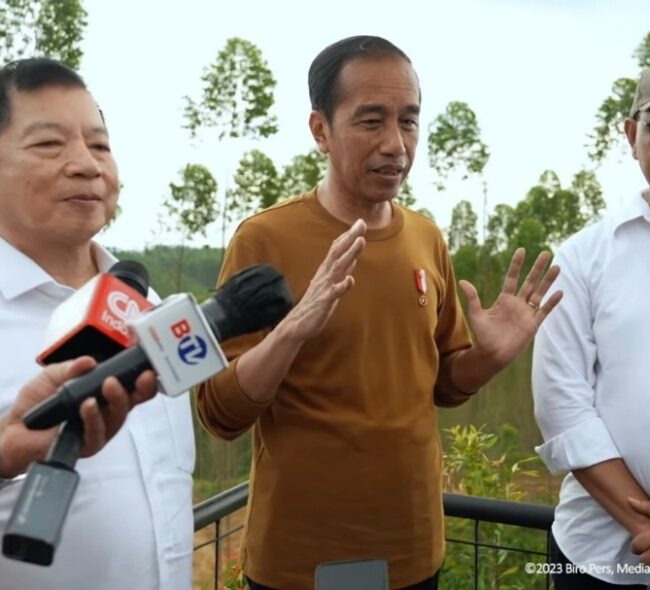 Tinjau Pembangunan Infrastruktur IKN Nusantara, Jokowi Optimis Tahun Depan Bisa Upacara 17 Agustus 