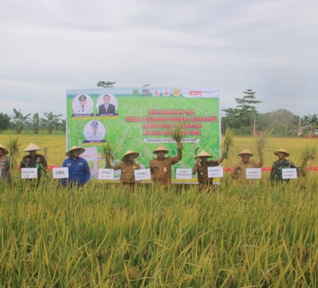 Kabupaten Penajam Paser Utara Surplus Beras, Bupati: Saya Sangat Bersyukur dan Berterimakasih Kepada Petani