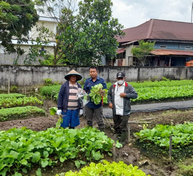 Jelang Ramadhan, Dinas Ketahanan Pangan PPU Gelar Pengujian PSAT 