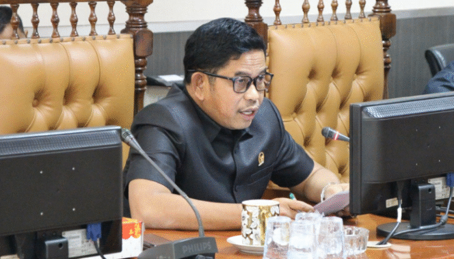 
					Caption: Wakil Ketua I DPRD Penajam Paser Utara Raup Muin | Poto: Istimewa