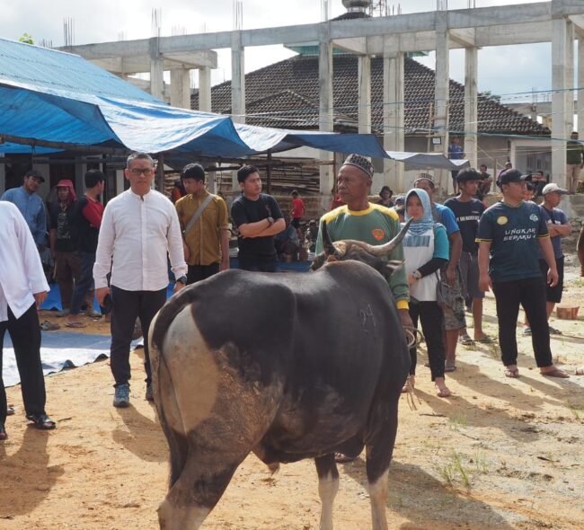 Pimpinan Otorita IKN, Pekerja dan Warga Rayakan Iduladha Perdana di Ibu Kota Nusantara untuk Perkuat Silaturahmi, Komunikasi dan Kebersamaan