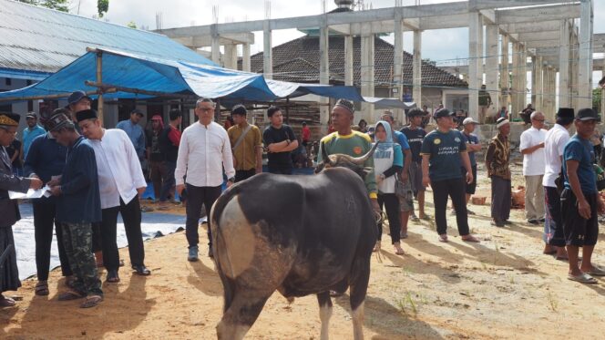
					Kepala Otorita Ibu Kota Nusantara (OIKN) merayakan Iduladha perdana bersama pekerja di Ibu Kota Nusantara (IKN). Poto: Istimewa