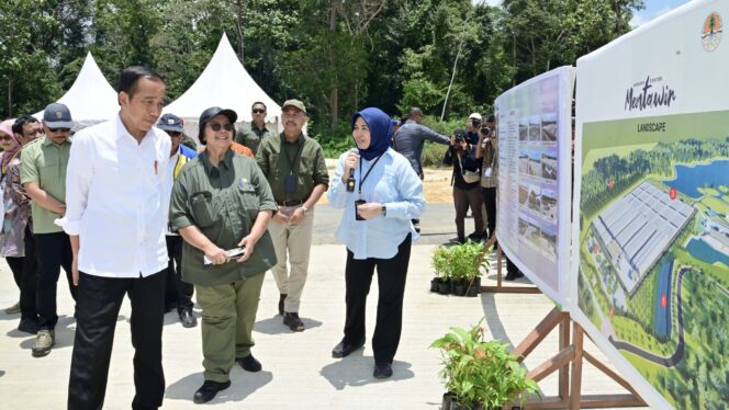 
					Poto: Presiden Joko Widodo meninjau Persemaian Mentawir yang berlokasi di Kabupaten Penajam Paser Utara, Provinsi Kalimantan Timur. (DOK. Istimewa)