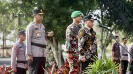 Foto: Penjabat (Pj) Bupati Penajam Paser Utara (PPU) Makmur Marbun pimpin Apel Gelar Pasukan dalam rangka memastikan kesiapan pengamanan Pemilihan Kepala Desa (Pilkades). (DOK. Istimewa)