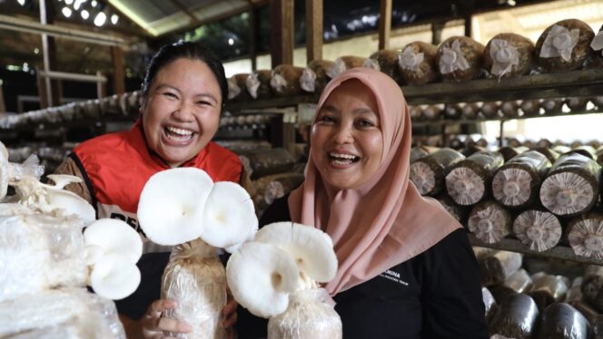 
					Foto: Program budidaya jamur merupakan salahsatu program CSR unggulan PHKT bertajuk Program Semur Cendawan (Semai Jamur dengan Cerdas dan Berwawasan Pangan) (DOK. Istimewa)