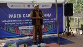 Foto: Asisten II Bidang Perekonomian dan Pembangunanan Pemkab Penajam Paser Utara (PPU), Nicko Herlambang hadiri gerakan panen cabe bersama,  sebagai rangkaian implementasi pengendalian inflasi daerah. Acara ini dikemas dalam kegiatan Gerakan Nasional  Pengendalian Inflasi Pangan (GNPIP), Selasa, (28/11/2023). (DOK. Istimewa)