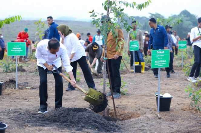 
					Foto: Presiden Joko Widodo melakukan penanaman pohon bersama dengan masyarakat dan siswa sekolah di lokasi Rehabilitasi Hutan dan Lahan Kawasan Inti Pusat Pemerintahan (KIPP) di Kawasan Ibu Kota Nusantara. (DOK. Istimewa)