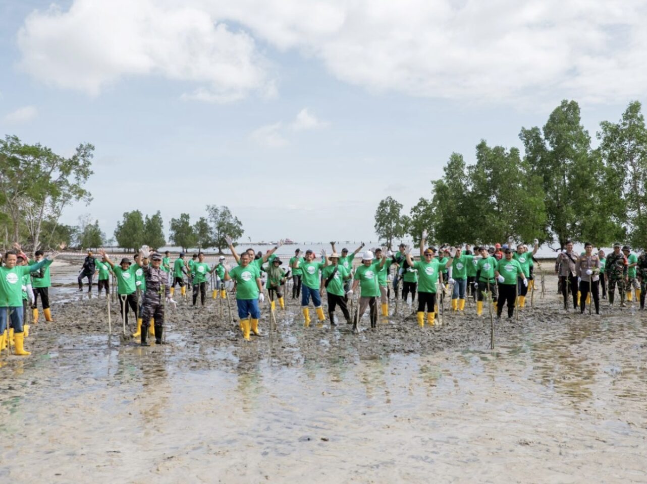 Cegah Abrasi Pantai dan Kurangi Emisi Karbon, Pertamina EP Bunyu Field Tanam 1.000 Bibit Mangrove