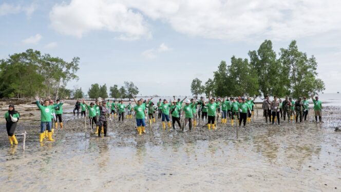 
					Foto: PT Pertamina EP (PEP) Bunyu Field melakukan penanaman 1.000 bibit mangrove. (DOK. Istimewa)