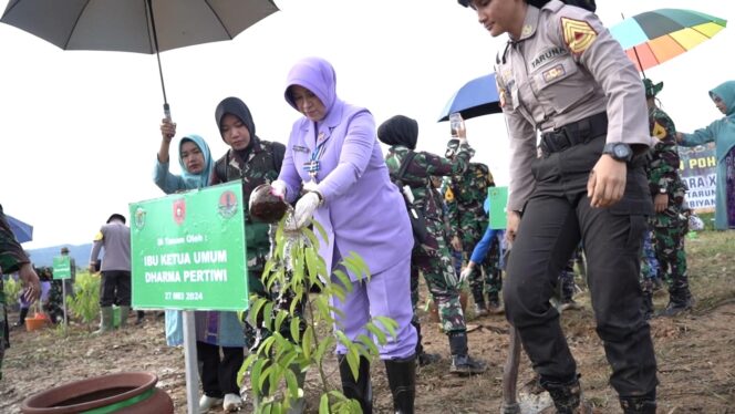 
					Foto: Ibu Kehormatan Taruna Akademi TNI, Evi Agus Subiyanto melaksanakan penanaman pohon di Ibu Kota Nusantara (IKN) bersama taruni Latsitardanus XLIV/2024. (DOK. Istimewa)