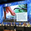 Foto: agenda World Water Forum ke-10 di BICC, Bali pada Selasa (21/05/2024). (DOK. Humas OIKN)