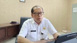 Foto: Kepala DLH PPU, Safwana. (DOK. CahayaBorneo.com)