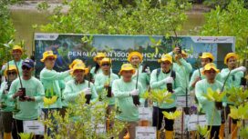 Foto: PT Pertamina Hulu Indonesia (PHI) melakukan penanaman 1.200 bibit mangrove Rhizophora SP. (DOK. Istimewa)