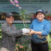 Foto: PT Pertamina Hulu Kalimantan Timur (PHKT) melaksanakan kegiatan penghijauan lahan di lokasi Eko-eduwisata Bee Edu Park, Desa Bangun Rejo, Tenggarong Seberang. (DOK. Istimewa)