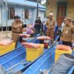 Foto: Pj Bupati PPU Serahkan 15 Unit Kapal Nelayan di Desa Babulu Laut. (DOK. Humas PPU)