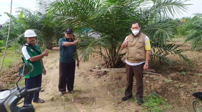 
					Dinas Perkebunan dan Peternakan Kabupaten  Paser Target Terbitkan 1.000 STDB Pekebun
