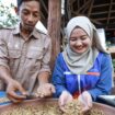 Foto: Program Kampung Kopi Luwak Desa Prangat Baru. (DOK. Istimewa)