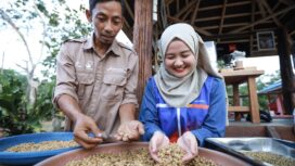 Foto: Program Kampung Kopi Luwak Desa Prangat Baru. (DOK. Istimewa)