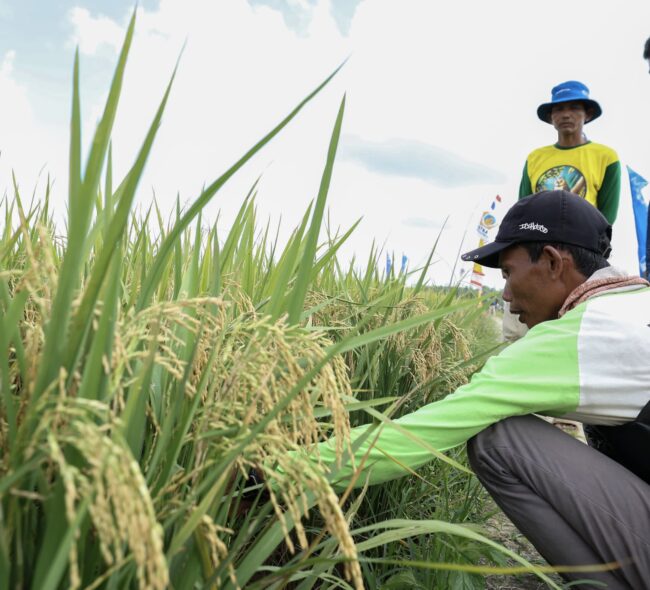 Rayakan Hari Tani bersama Petani Ibu Kota, Otorita IKN Arahkan Kebijakan Pertanian Modern dan Pertanian Regeneratif