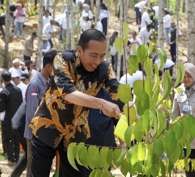 Mengukir Sejarah Baru di Indonesia Lewat Pembangunan Berkelanjutan