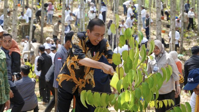 
					Foto: Presiden Joko Widodo (Jokowi) saat berada di Ibu Kota Nusantara (IKN). (DOK. OIKN)