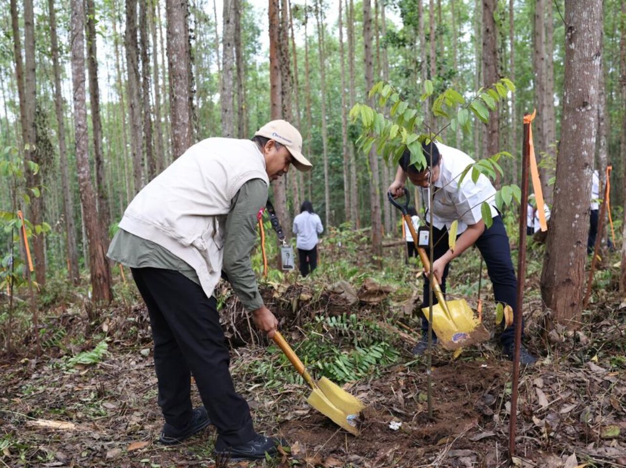 Memperingati bulan menanam pohon nasional tahun 2024 kegiatan penanaman pohon di KIPP IKN, tepatnya di Miniatur Hutan Hujan Tropis Nusantara pada Kamis (12/12/2024). (Dok. Istimewa)