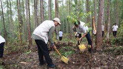 Memperingati bulan menanam pohon nasional tahun 2024 kegiatan penanaman pohon di KIPP IKN, tepatnya di Miniatur Hutan Hujan Tropis Nusantara pada Kamis (12/12/2024). (Dok. Istimewa)