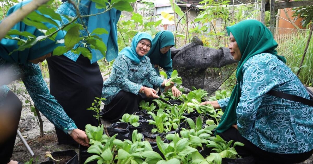 Sinergitas PKK Kaltim dan PPU Diperkuat Lewat Kegiatan Peringatan Hari Ibu