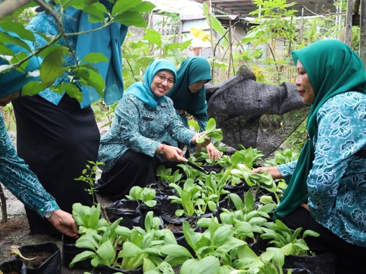 Dengan mengusung tema "Kader Peduli, PKK Berdaya, Menuju Indonesia Emas Tahun 2045" ini digelar dalam rangka memperingati Hari Ibu ke-96 sekaligus memperkuat sinergitas 10 program pokok PKK, Minggu, (15/12/2024). (Dok. Humas PPU)