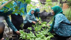 Dengan mengusung tema "Kader Peduli, PKK Berdaya, Menuju Indonesia Emas Tahun 2045" ini digelar dalam rangka memperingati Hari Ibu ke-96 sekaligus memperkuat sinergitas 10 program pokok PKK, Minggu, (15/12/2024). (Dok. Humas PPU)