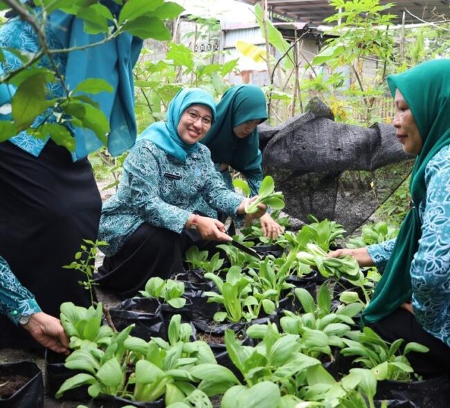 Sinergitas PKK Kaltim dan PPU Diperkuat Lewat Kegiatan Peringatan Hari Ibu