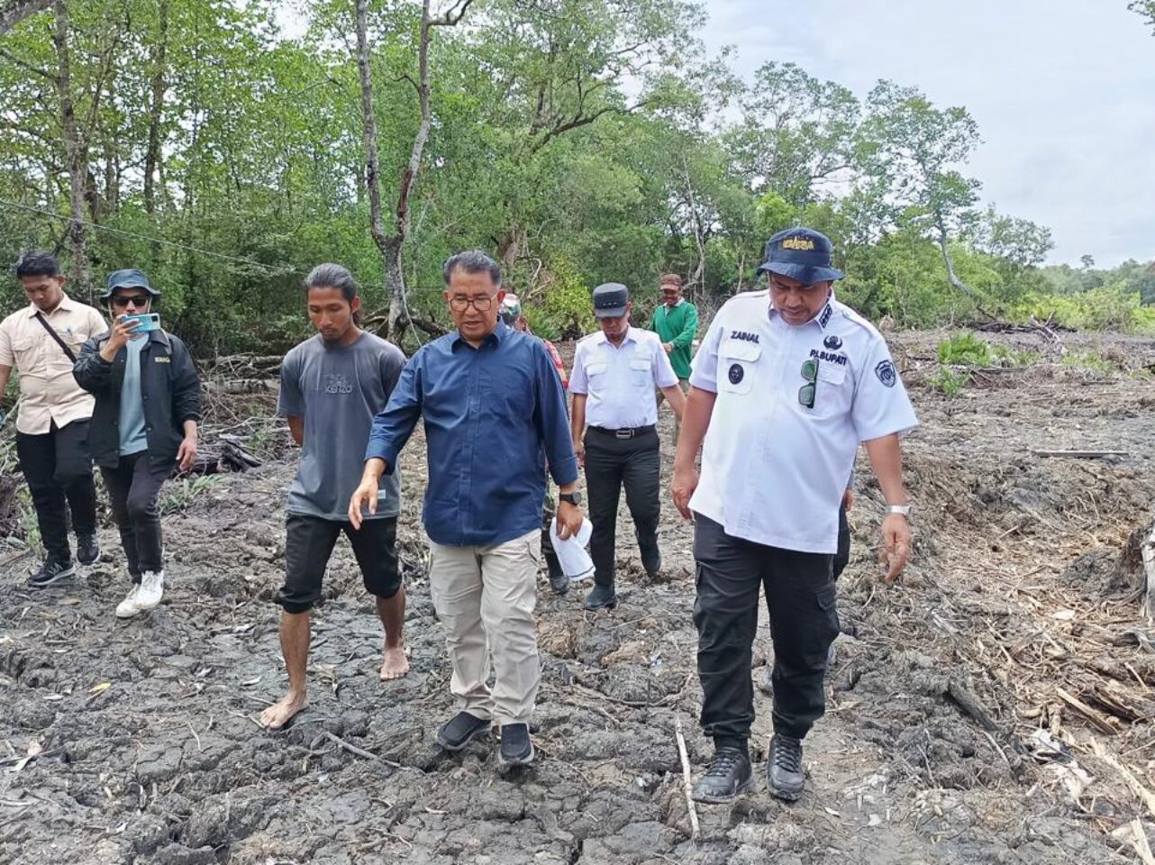 Pj Gubernur Kaltim, Akmal Malik pada saat melihat secara langsung tambak budidaya perikanan (Dok : CahayaBorneo/AJI)