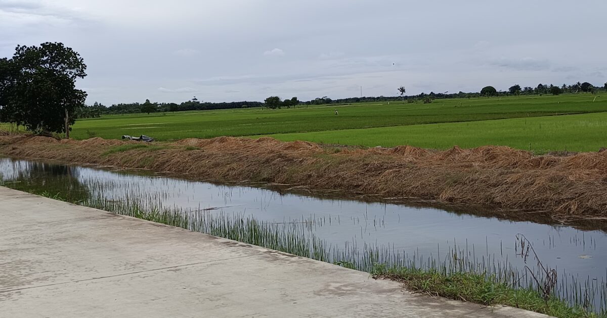 Petani Sebakung Jaya Hadapi Banyak Kendala, Pemda Siapkan Solusi