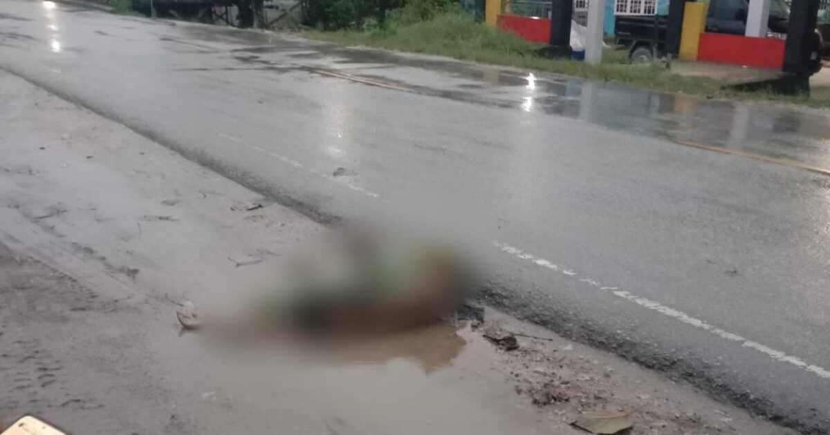 Geger Penemuan Mayat di Pinggir Jalan Desa Labangka, Diduga Korban Tabrak Lari