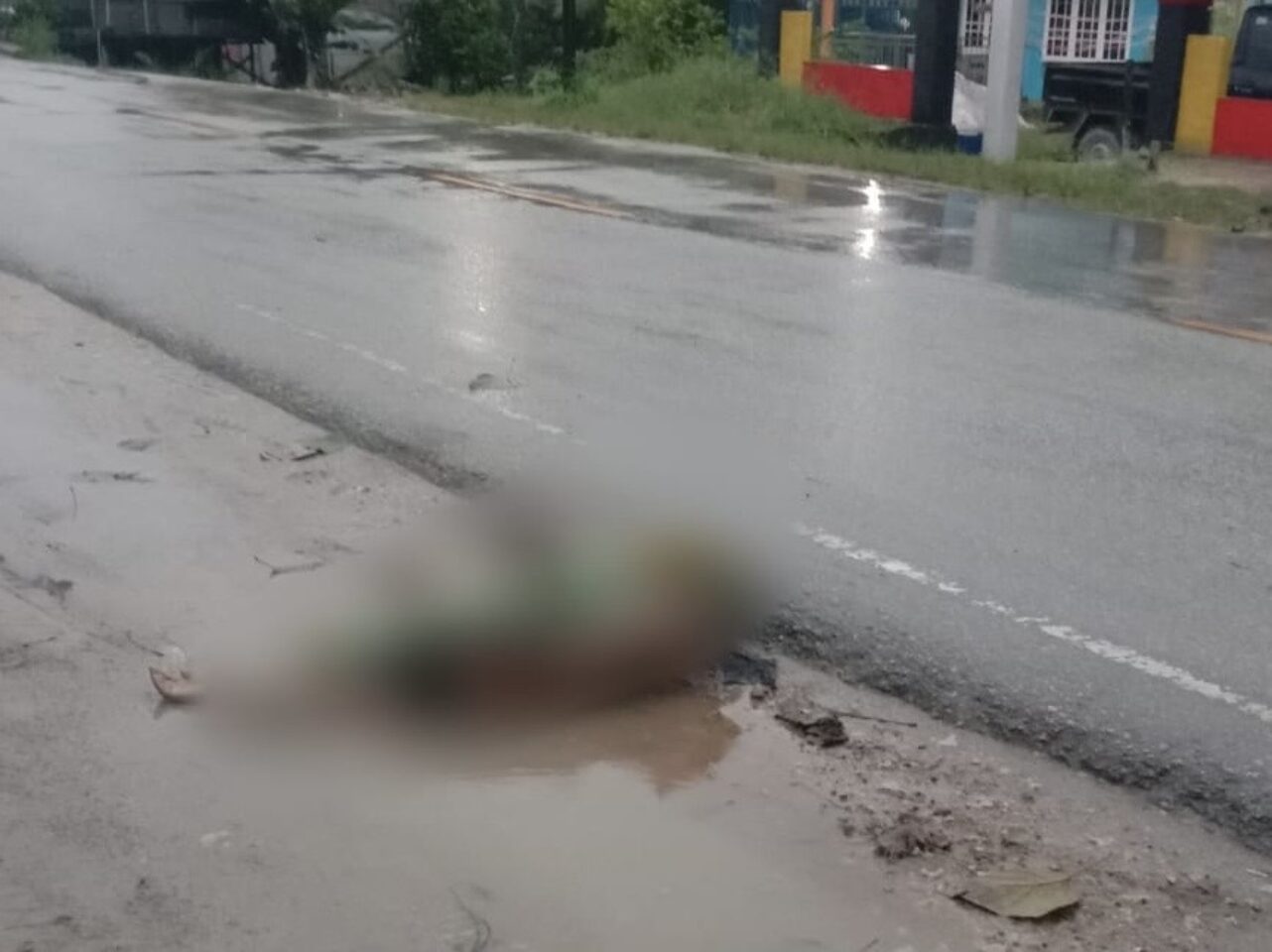 Geger Penemuan Mayat di Pinggir Jalan Desa Labangka, Diduga Korban Tabrak Lari