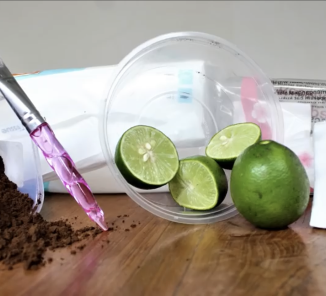 Ngopi Buat Kulit? Yuk, Coba Masker Kopi & Jeruk Nipis untuk Lawan Jerawat!