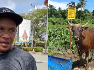 Sudirman (40) pedagang hewan kurban asal Kelurahan Nenang. (DOK. CB Media)