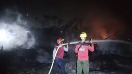 Foto : Karhutla yang pernah terjadi di PPU,(Dok : istimewa)
