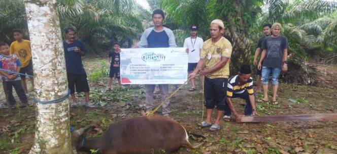 
					Foto : Pemotongan sapu kurban PT Pertamina Hulu Indonesia (Dok. PHI)