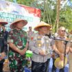 foto : kegiatan ketahanan pangan jagung yang dilaksanakan di Polres PPU (Dok : CahayaBorneo/AJI)