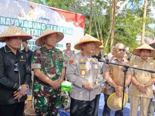 foto : kegiatan ketahanan pangan jagung yang dilaksanakan di Polres PPU (Dok : CahayaBorneo/AJI)