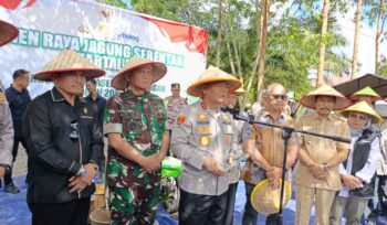 foto : kegiatan ketahanan pangan jagung yang dilaksanakan di Polres PPU (Dok : CahayaBorneo/AJI)