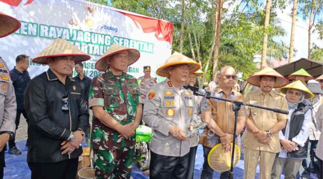 foto : kegiatan ketahanan pangan jagung yang dilaksanakan di Polres PPU (Dok : CahayaBorneo/AJI)