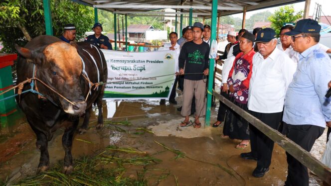 
					foto: penyerahan sapi kurban Presiden Prabowo ke IKN (Dok. Humas OIKN)