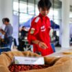 Foto: Acara Nusantara Liberica Coffee Exhibition (Dok. Humas OIKN)
