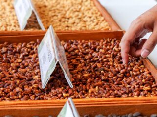 Foto: Nusantara Liberica Coffee Exhibition  (Dok. Humas OIKN)