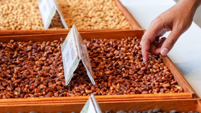 
					Foto: Nusantara Liberica Coffee Exhibition  (Dok. Humas OIKN)